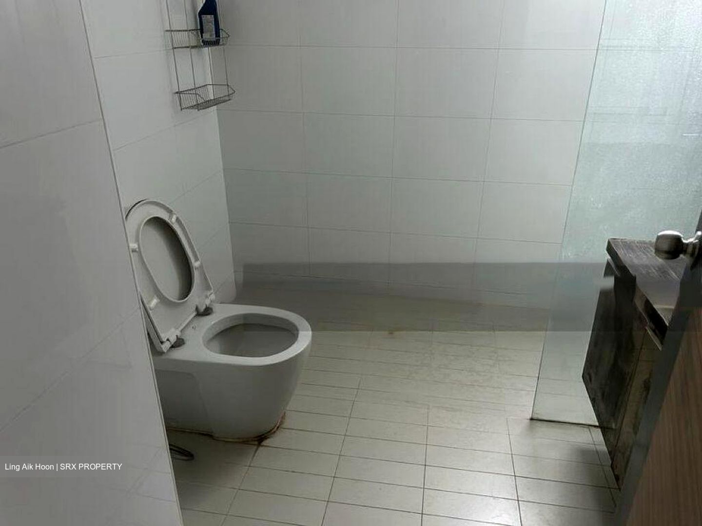 Parc Oasis (D22), Condominium #452796741